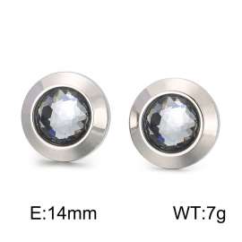 Stainless Steel Stone&Crystal Earring