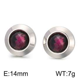 Stainless Steel Stone&Crystal Earring